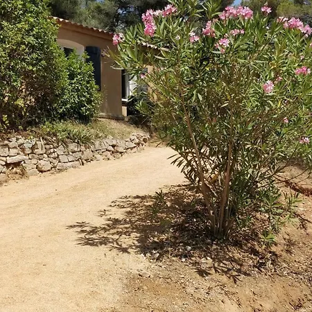 Cigalons En Pleine Pinede Avec Piscine Chauffee De Mai A Septembre Auriol