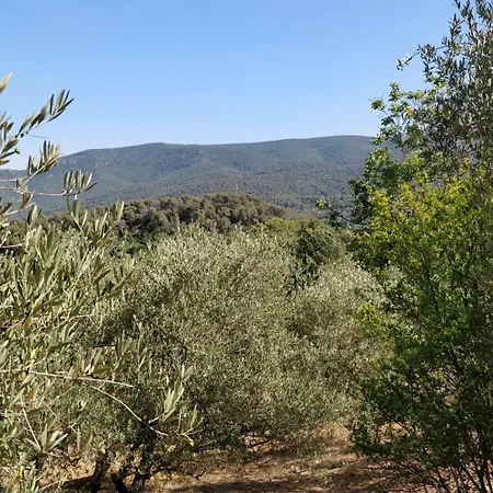 Cigalons En Pleine Pinede Avec Piscine Chauffee De Mai A Septembre וילה *
