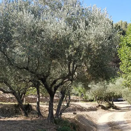 Cigalons En Pleine Pinede Avec Piscine Chauffee De Mai A Septembre * Auriol