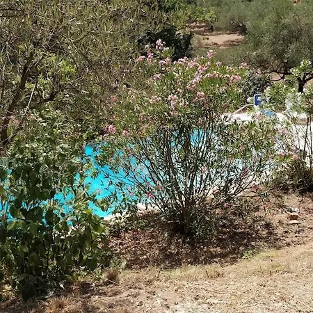 Cigalons En Pleine Pinede Avec Piscine Chauffee De Mai A Septembre וילה *